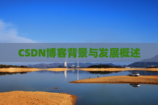 CSDN博客背景与发展概述
