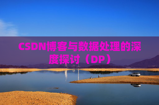 CSDN博客与数据处理的深度探讨（DP）